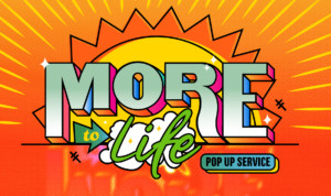 Series cover of More To Life