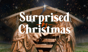 Series cover of Surprised by Christmas
