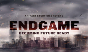 Series cover of Endgame: Becoming Future-Ready