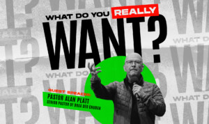 Series cover of What Do You Really Want?