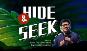 Series cover of Hide & Seek