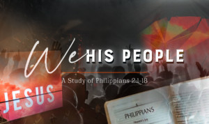 Series cover of We His People