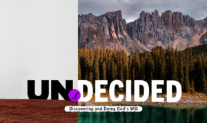 Series cover of Undecided