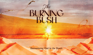 Series cover of The Burning Bush