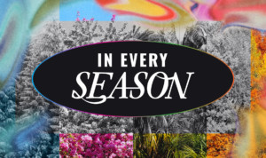 Series cover of In Every Season