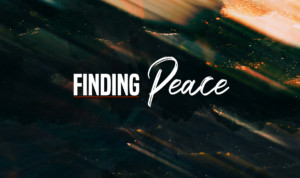 Series cover of Finding Peace Amidst The Storm