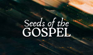 Series cover of Seeds Of The Gospel