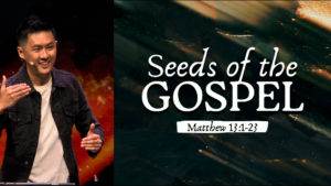 Sermon cover of Seeds Of The Gospel