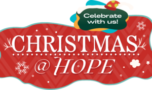 Series cover of Christmas At Hope – The Christmas Multiverse