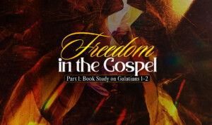 Series cover of Freedom In The Gospel – Part 1