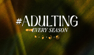 Series cover of Adulting In Every Season