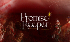 Series cover of Promise Keeper