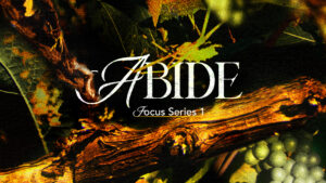 Sermon cover of Abide Series 1 [3/6]: How do we see worship?