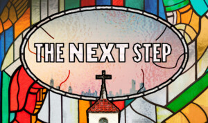 Series cover of The Next Step
