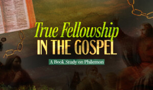 Series cover of True Fellowship In The Gospel (A Book Study on Philemon)
