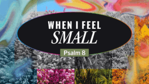 Sermon cover of Songs For All Seasons [2/8]: When I Feel Small