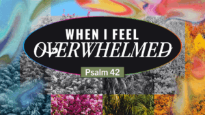 Sermon cover of Songs For All Seasons [4/8]: When I Feel Overwhelmed