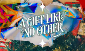 Series cover of A Gift Like No Other